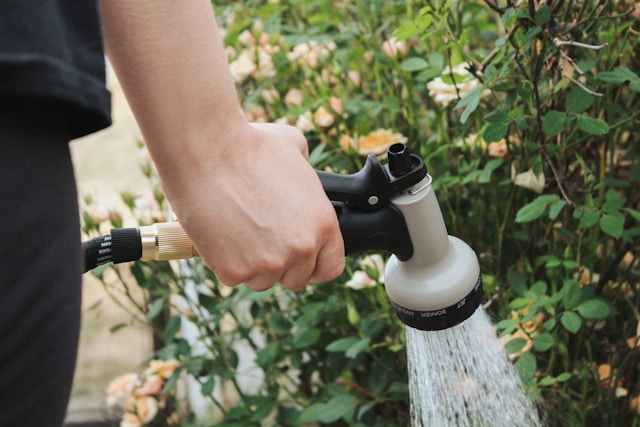person doing july gardening jobs of watering plants with a hose