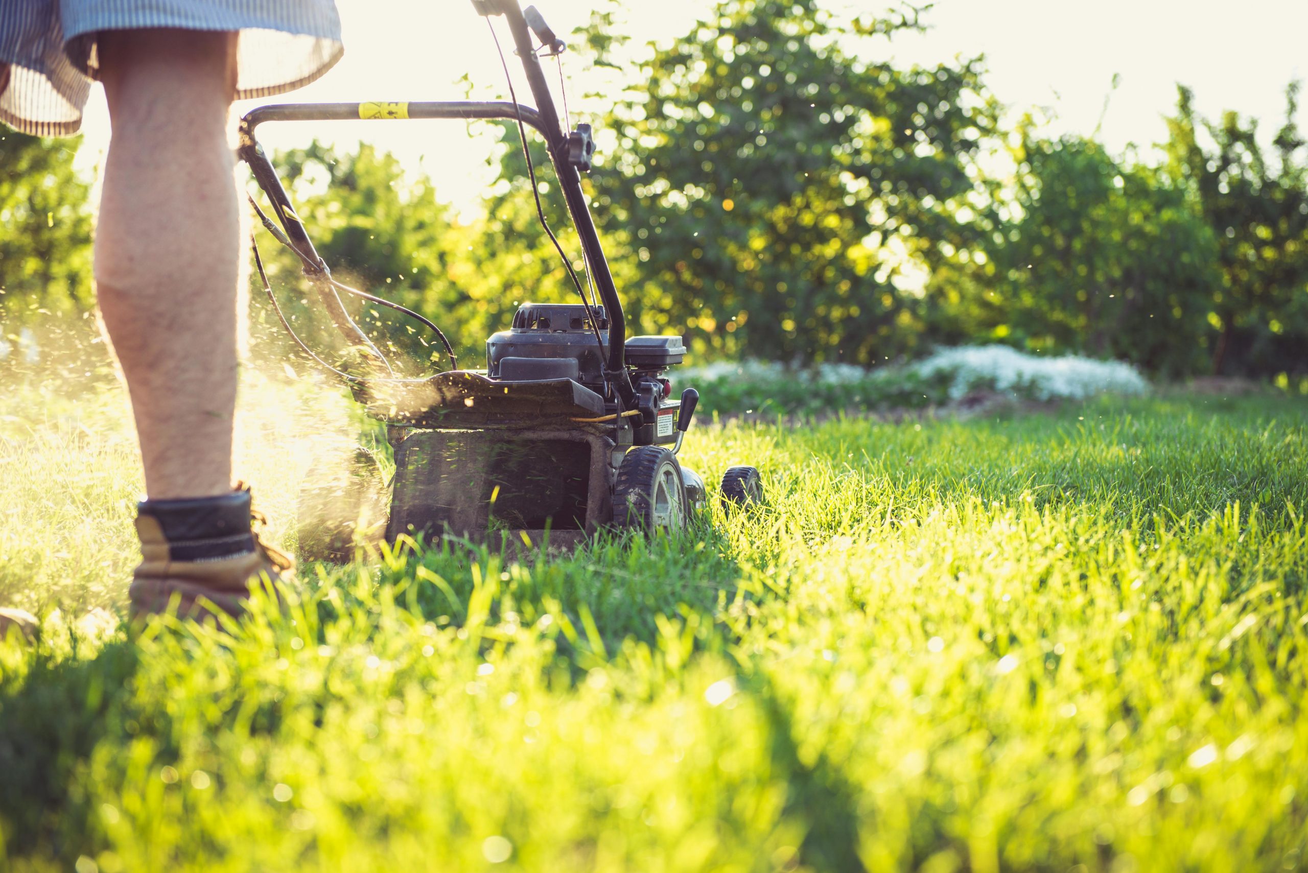 person mowing long grass with a lawnmower