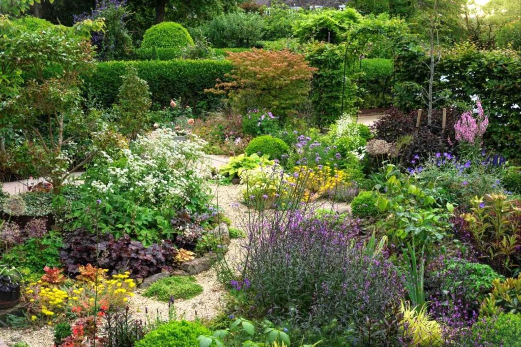 vibrant garden