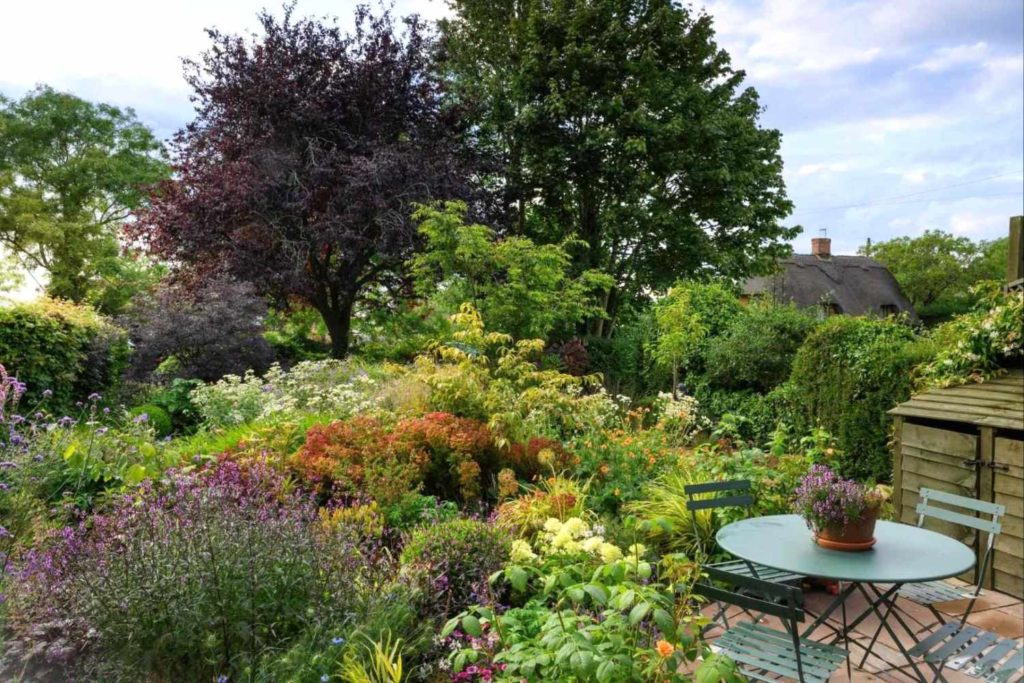 vibrant garden with patio seating area